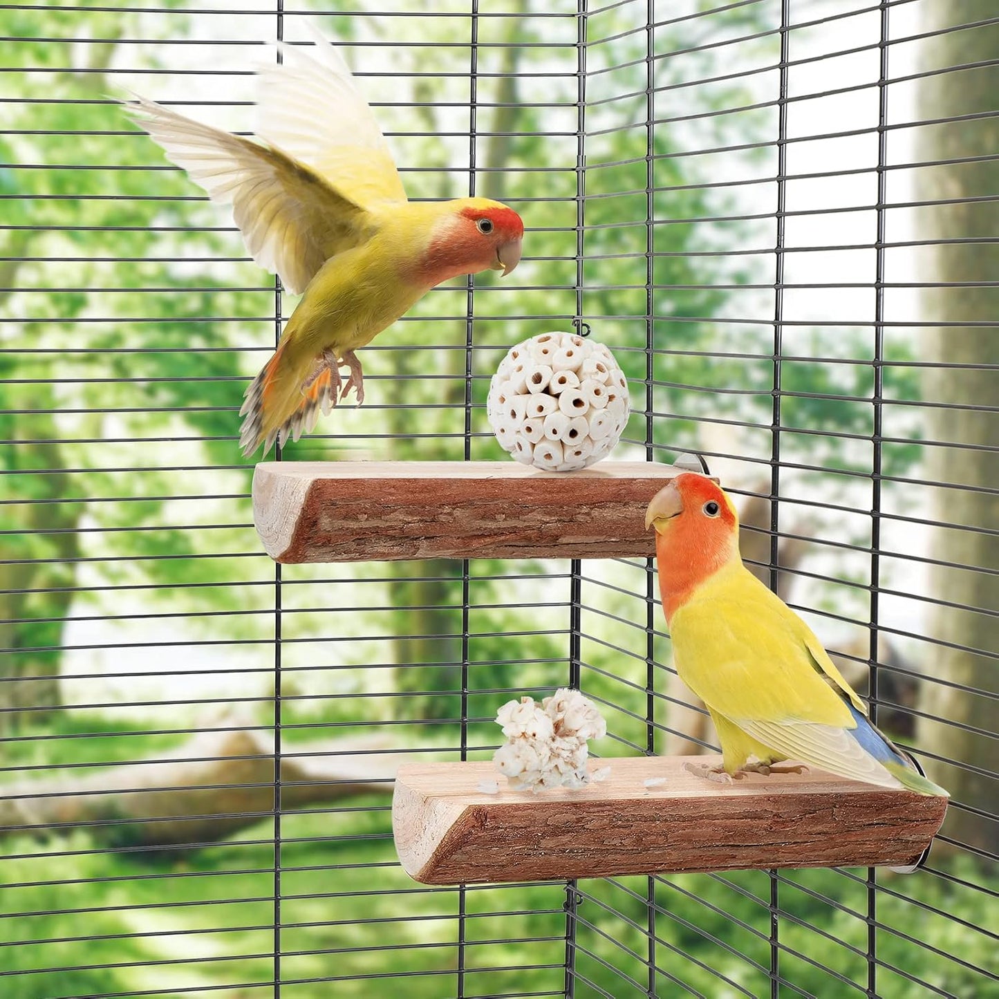 Sola Ball Bird Toy – Natural Shredding & Foraging Enrichment for Parrots - Build Your Own Toy