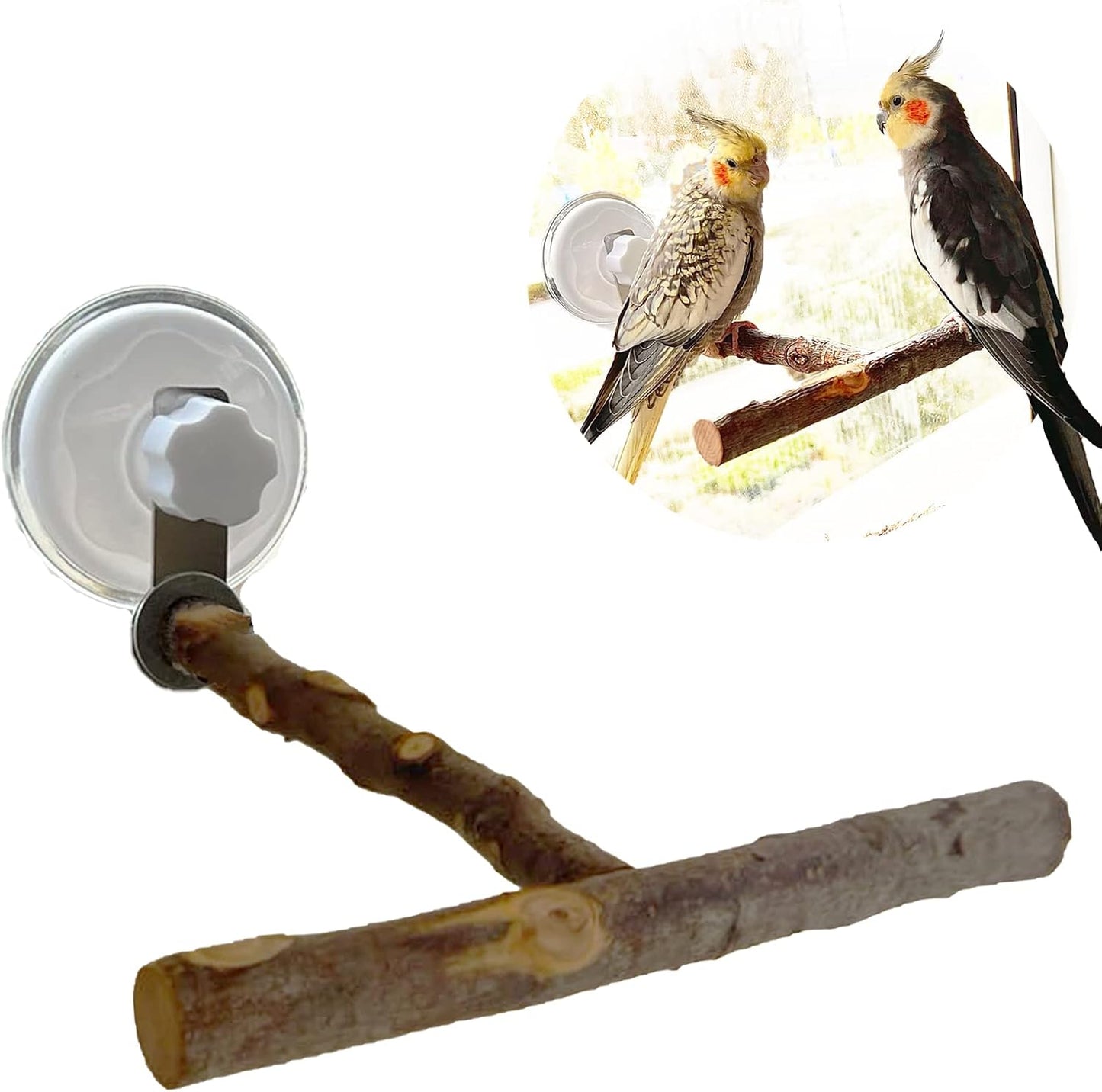 Apple Wood Window Perch – Suction Cup Bird Perch for Indoor Window Viewing