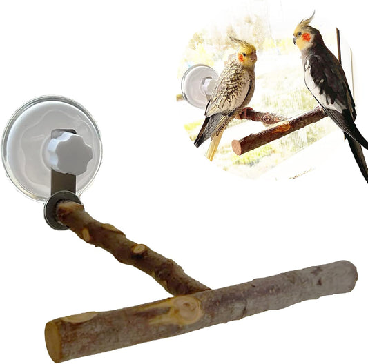 Apple Wood Window Perch – Suction Cup Bird Perch for Indoor Window Viewing