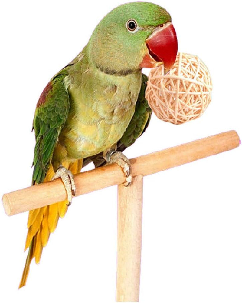 Natural Rattan Bird Foraging Balls – 10 Pack Hand-Woven Cane Chew Toys for Parrots, Budgies, Conures & Small Pets