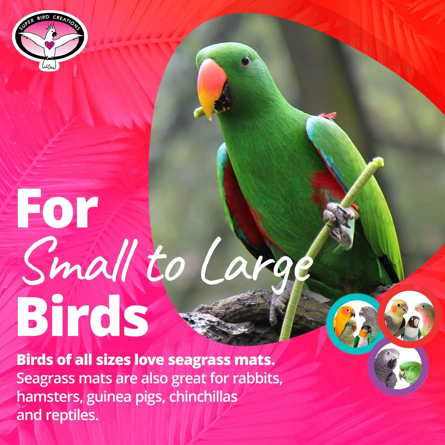 Natural Seagrass Bird Mat – Foraging, Climbing & DIY Enrichment Toy Base for Small to Large Parrots (7" x 12")