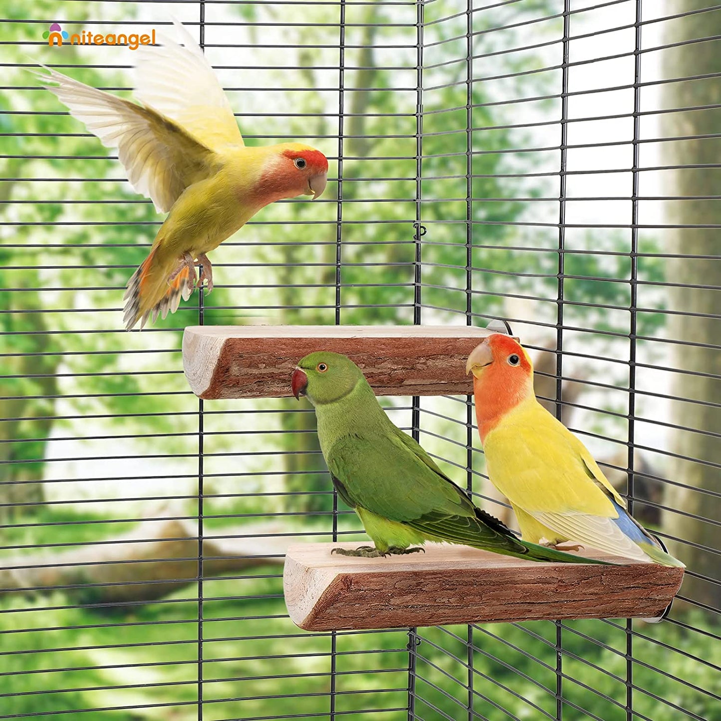 Wooden Bird Perch Platform Set (2 Pack) for Parrot Cages