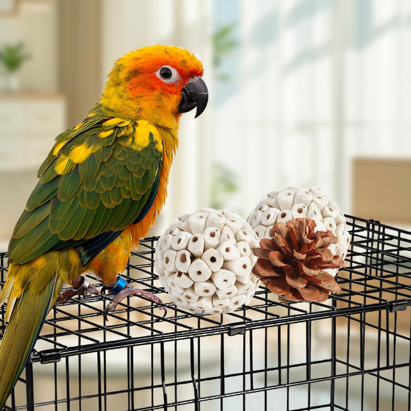 Natural Bird Foraging & Shredding Toy Box – Eco-Friendly DIY Enrichment Set with Pine Cones, Wood, Sola, Seagrass & Coconut for Parrots & Small Birds