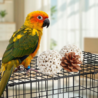 Natural Bird Foraging & Shredding Toy Box – Eco-Friendly DIY Enrichment Set with Pine Cones, Wood, Sola, Seagrass & Coconut for Parrots & Small Birds
