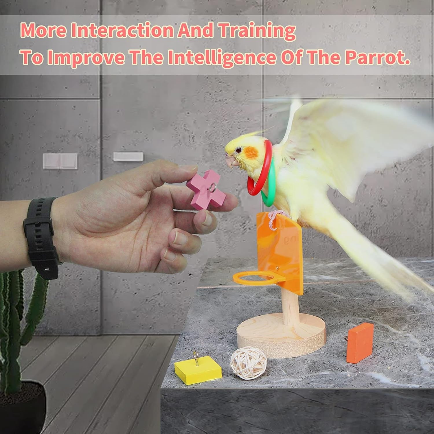 Bird Training & Interactive Play Toy Set – Educational Toys for Small & Medium Parrots