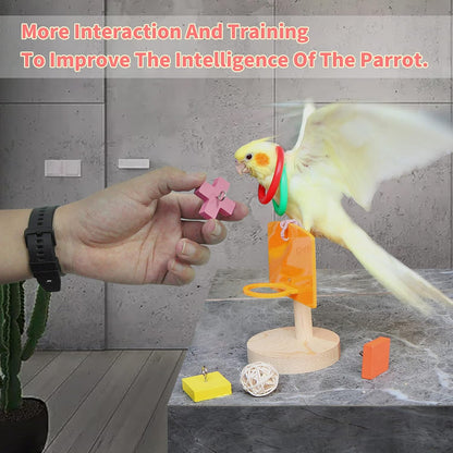 Bird Training & Interactive Play Toy Set – Educational Toys for Small & Medium Parrots