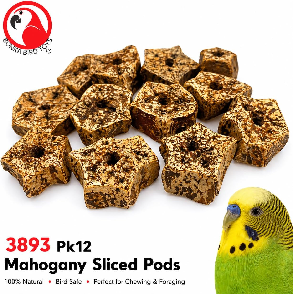 Natural Mahogany Bird Chew Pods – 12 Pack Wooden Foot Toys & DIY Bird Toy Making Parts for Parrots, Cockatiels & Conures