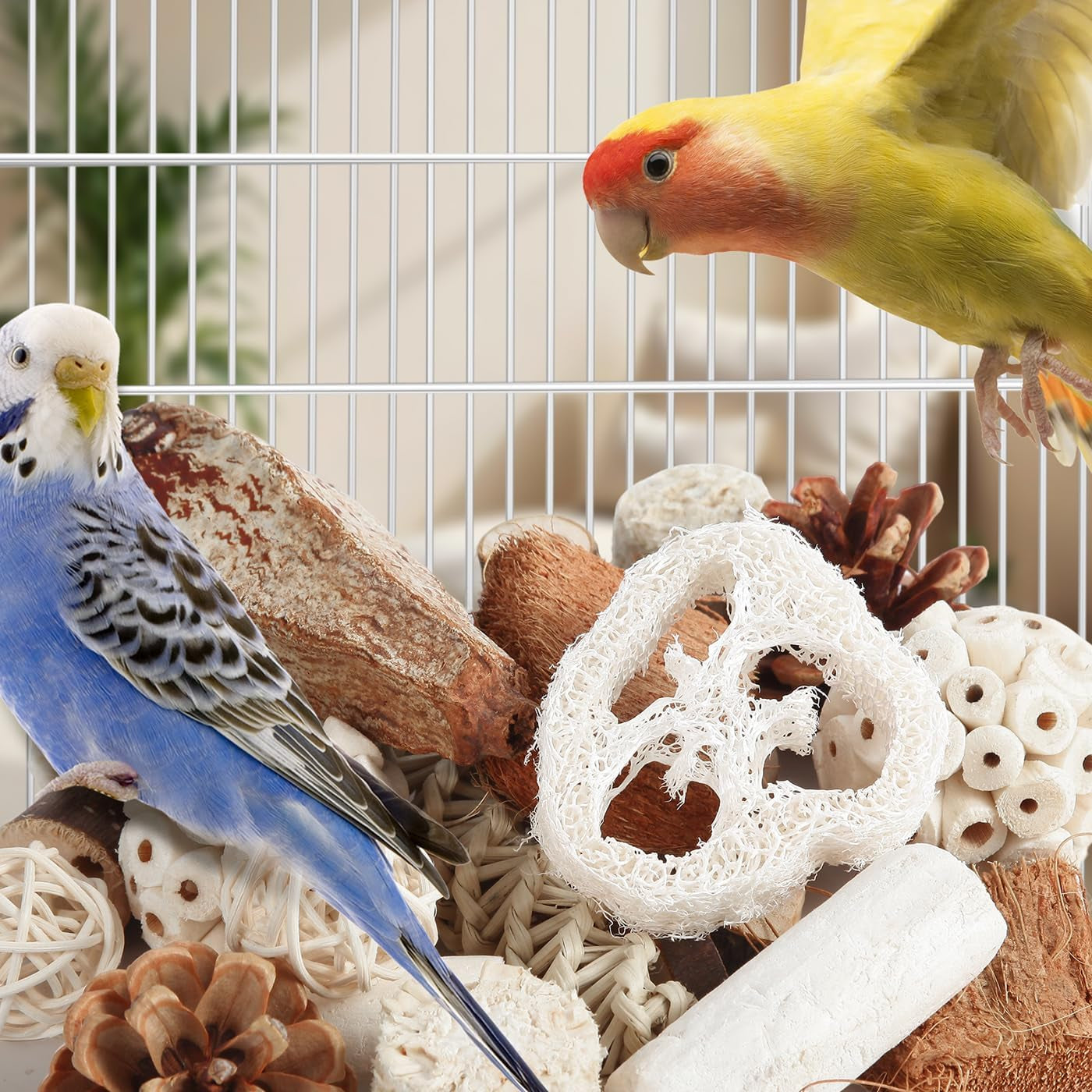 Natural Bird Foraging & Shredding Toy Box – Eco-Friendly DIY Enrichment Set with Pine Cones, Wood, Sola, Seagrass & Coconut for Parrots & Small Birds