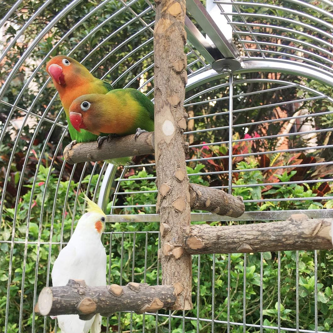 Bird Perch Hanging Ladder - Small to Medium Parrots
