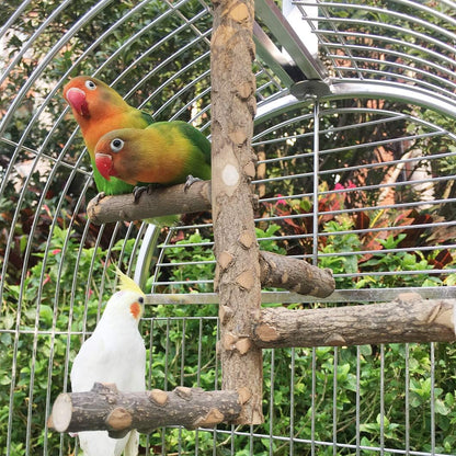 Bird Perch Hanging Ladder - Small to Medium Parrots