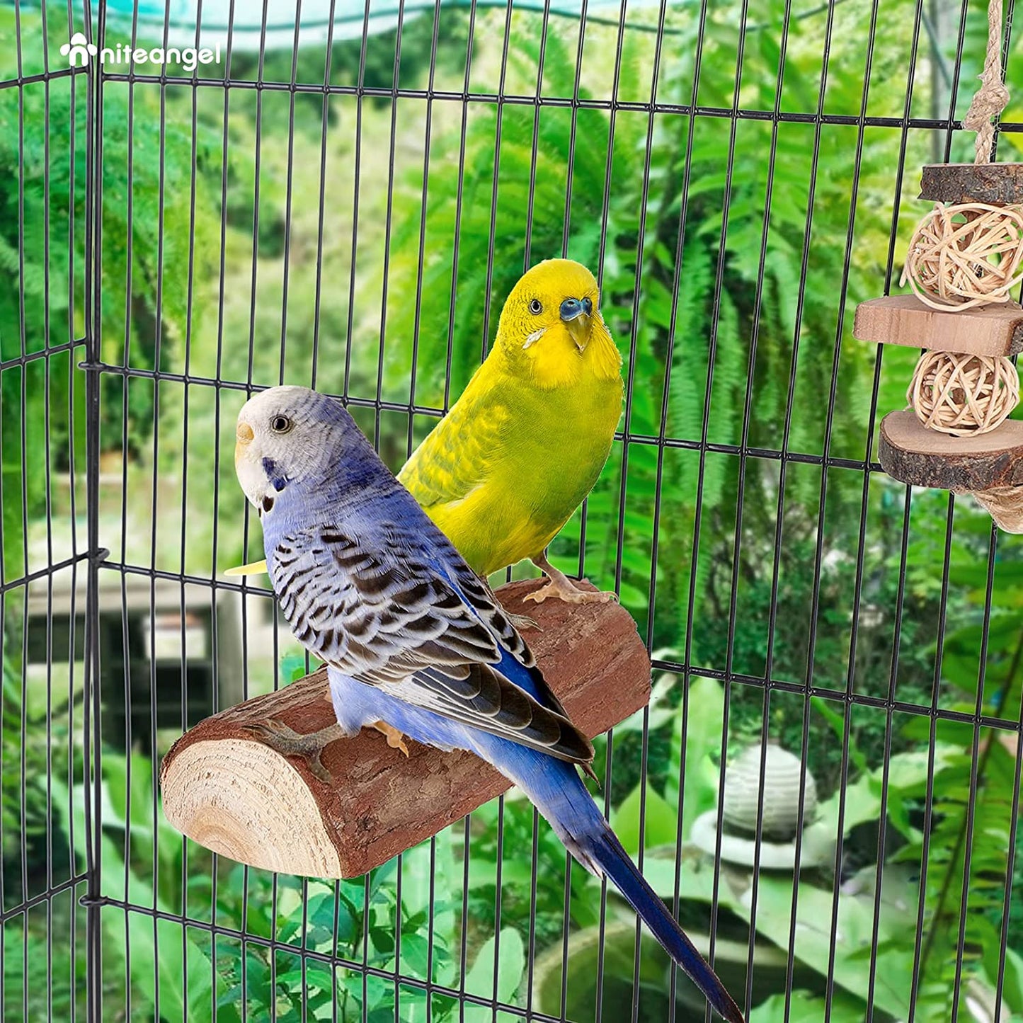 Wooden Bird Perch Platform Set (2 Pack) for Parrot Cages