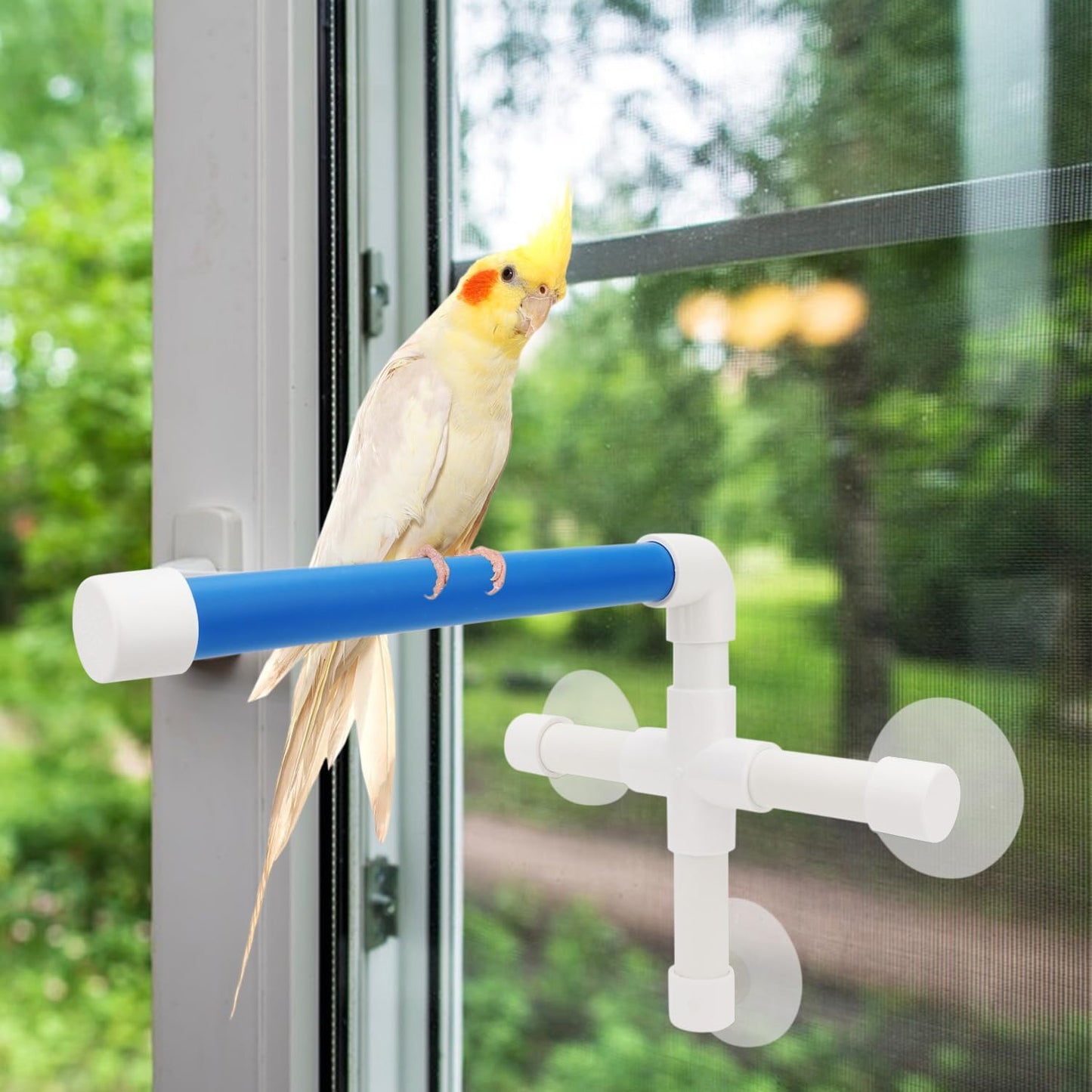Suction Cup Bird Shower Perch – Window & Bathroom Perch for Small and Medium Parrots