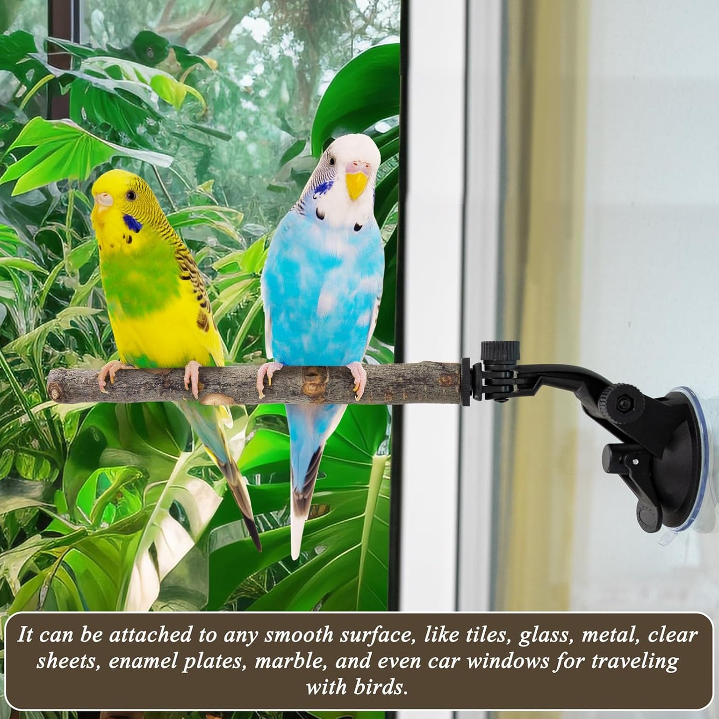 Adjustable Natural Wood Window Perch – Suction Cup Bird Perch for Windows, Showers & Travel