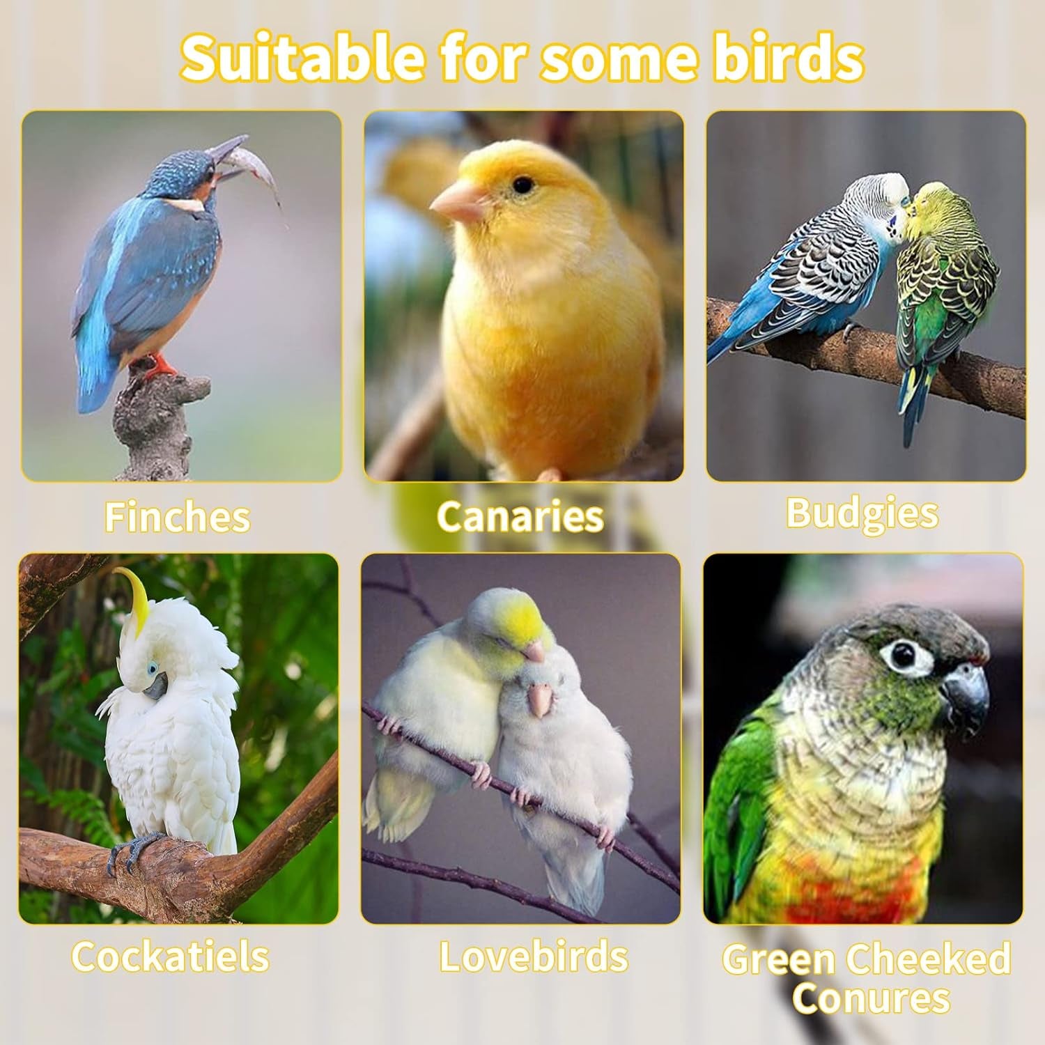 Natural Wood Bird Perch Set - 5 Piece Simple Dowel Perch for Small to Medium Birds,