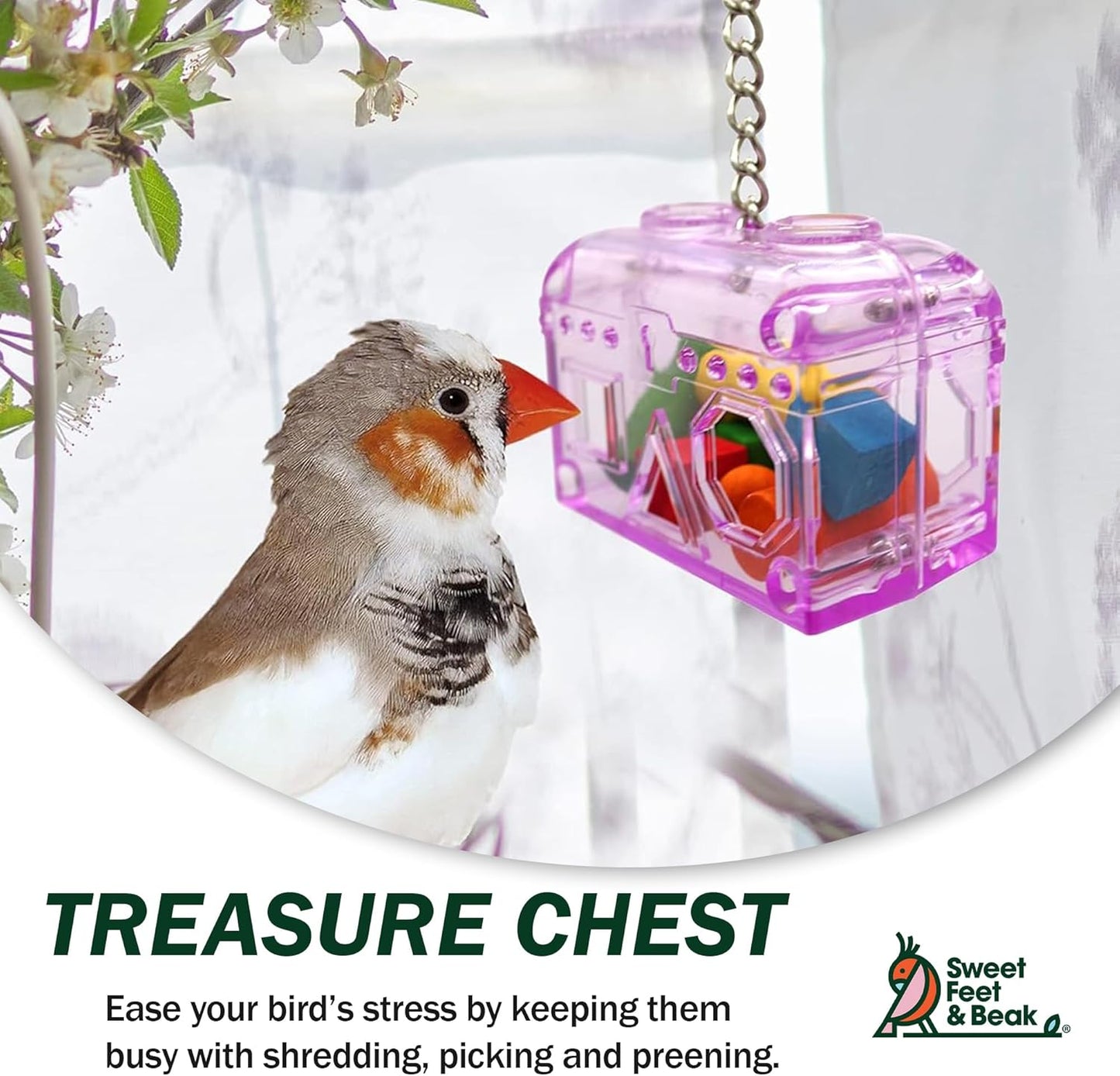 Small Treasure Chest - Washable, Refillable, Non-Toxic, Foraging Box - For Small to Medium Birds