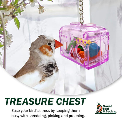 Small Treasure Chest - Washable, Refillable, Non-Toxic, Foraging Box - For Small to Medium Birds