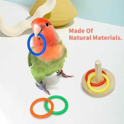 Bird Training & Interactive Play Toy Set – Educational Toys for Small & Medium Parrots
