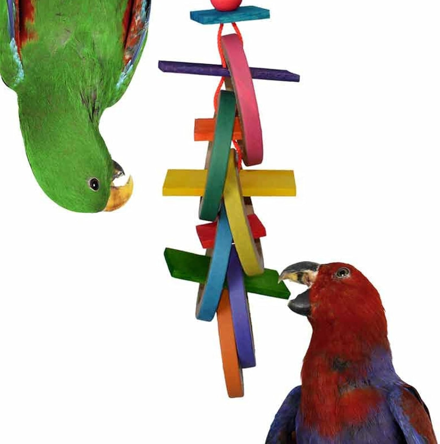 Olympic Rings Bird Toy, Large Bird Size, 15” X 4” X 4”