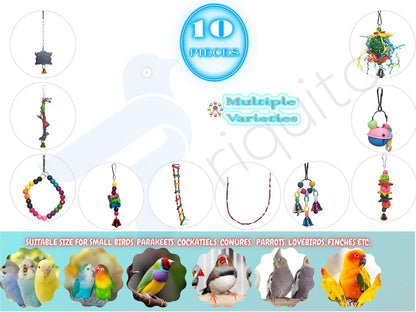 10-Piece Parrot Toy Set – Multi-Activity Cage Enrichment for Small to Medium Birds