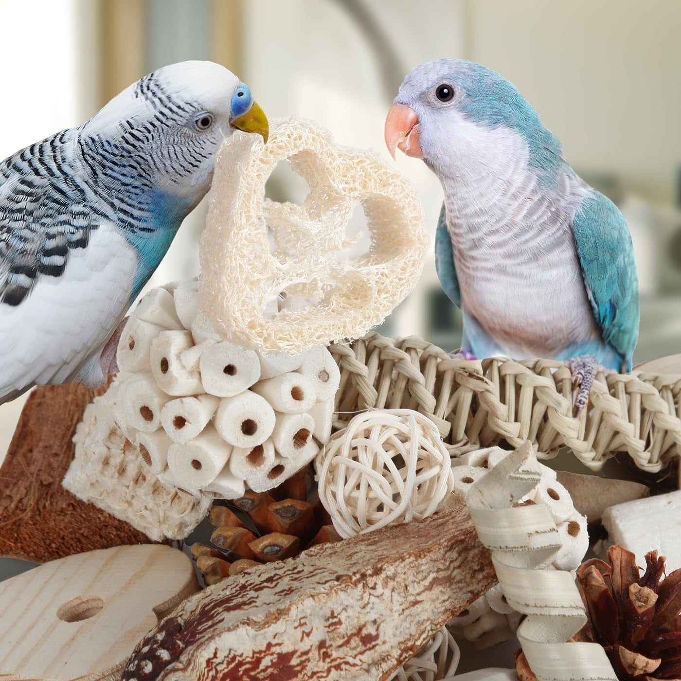 Natural Bird Foraging & Shredding Toy Box – Eco-Friendly DIY Enrichment Set with Pine Cones, Wood, Sola, Seagrass & Coconut for Parrots & Small Birds