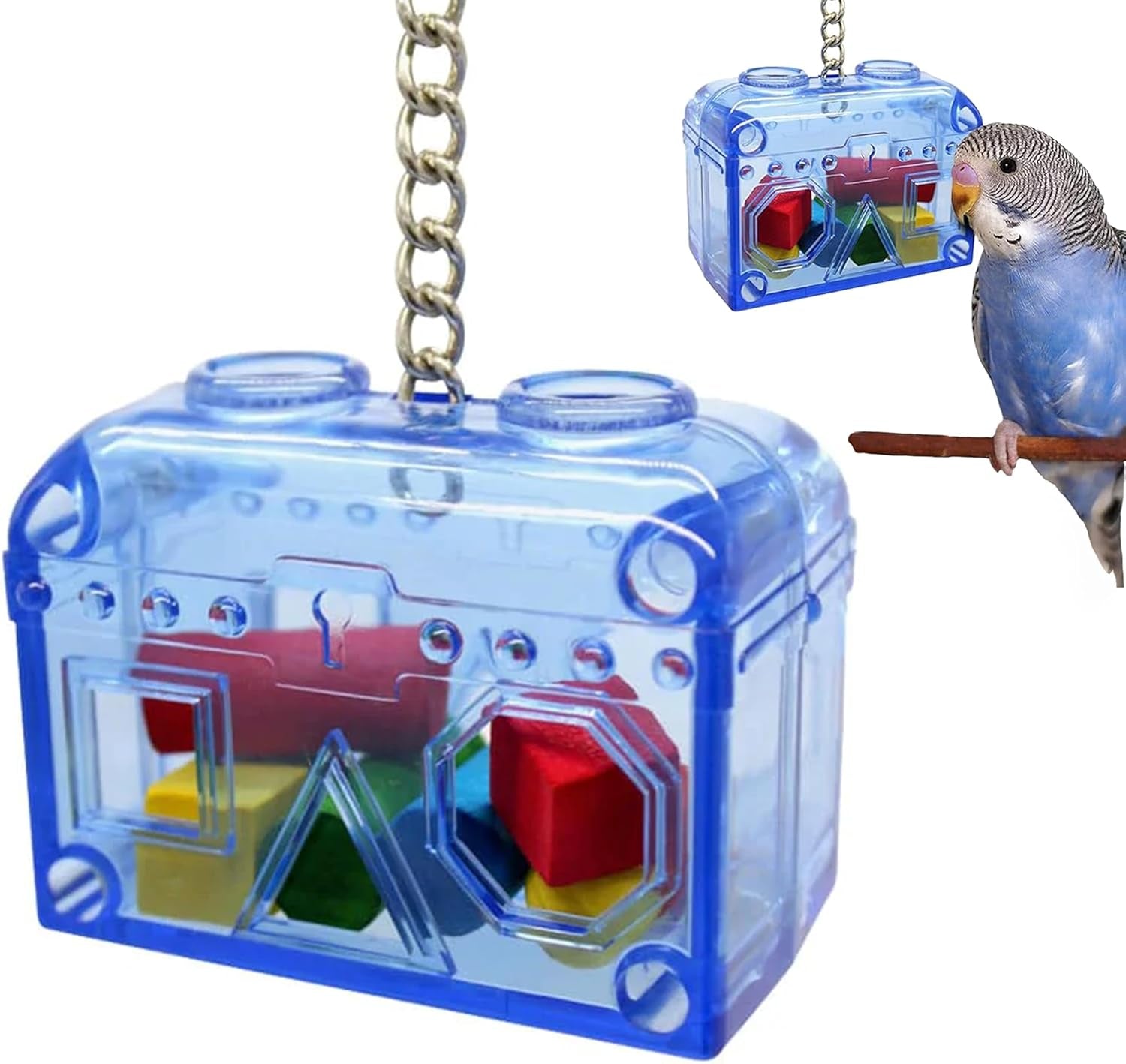 Small Treasure Chest - Washable, Refillable, Non-Toxic, Foraging Box - For Small to Medium Birds