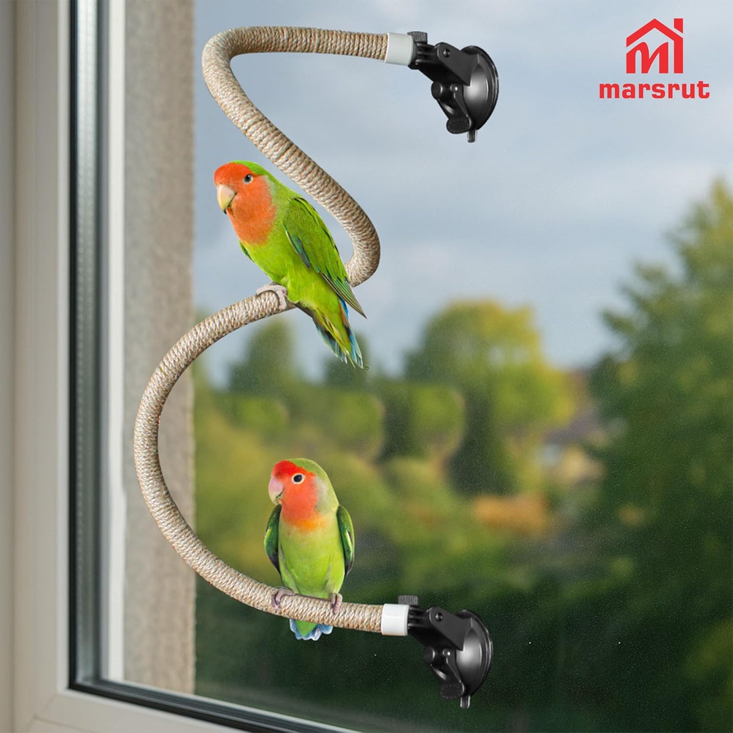 Bendable Suction Cup Rope Perch – Flexible Climbing Perch for Small & Medium Birds