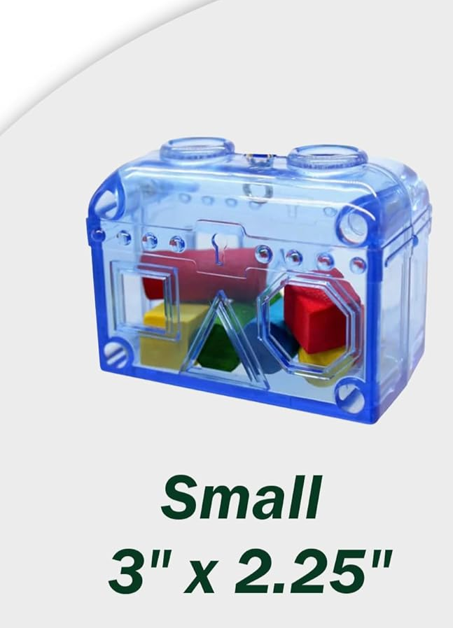 Small Treasure Chest - Washable, Refillable, Non-Toxic, Foraging Box - For Small to Medium Birds