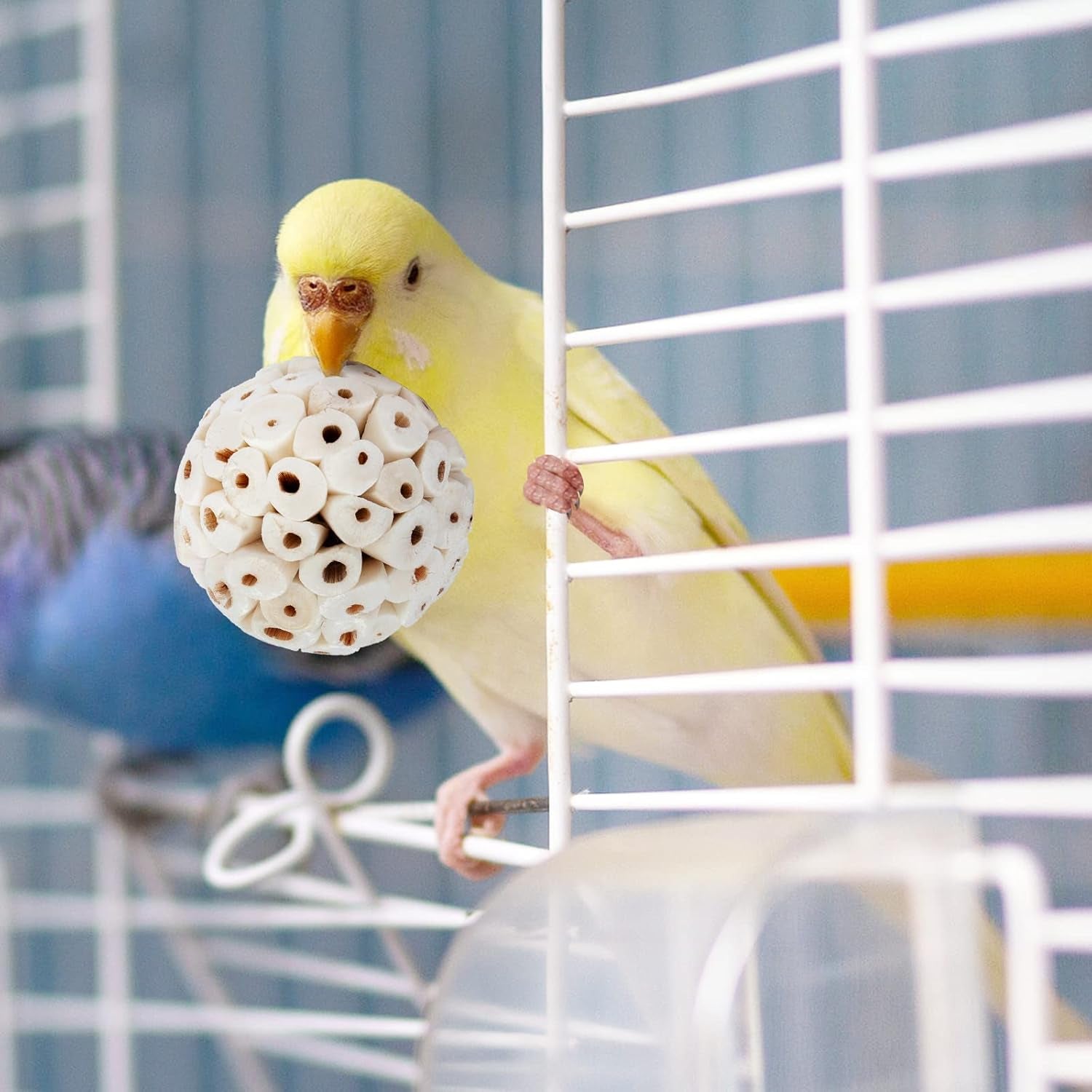 Sola Ball Bird Toy – Natural Shredding & Foraging Enrichment for Parrots - Build Your Own Toy