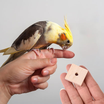 DIY Wooden Bird Chew Blocks – 100 Pack Natural Foot Toys & Parrot Toy Making Parts for Parakeets, Conures, African Greys & Macaws