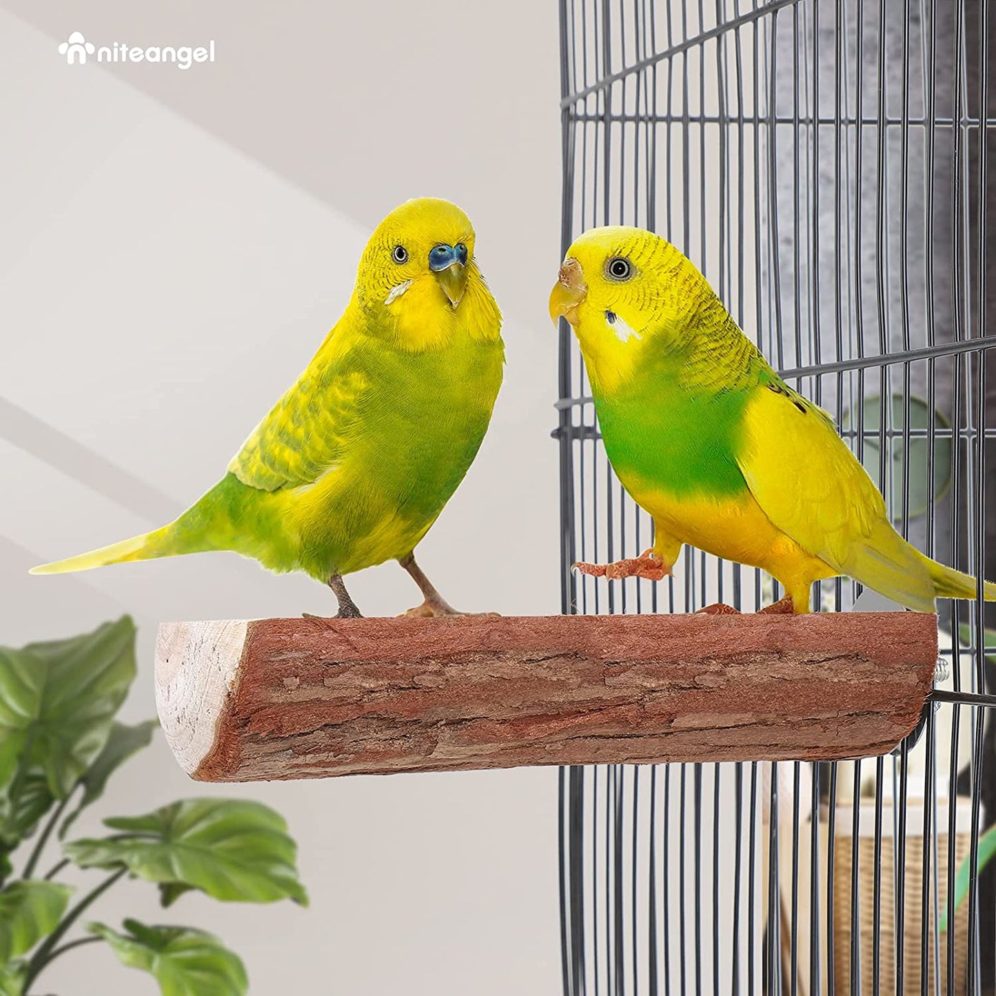 Wooden Bird Perch Platform Set (2 Pack) for Parrot Cages