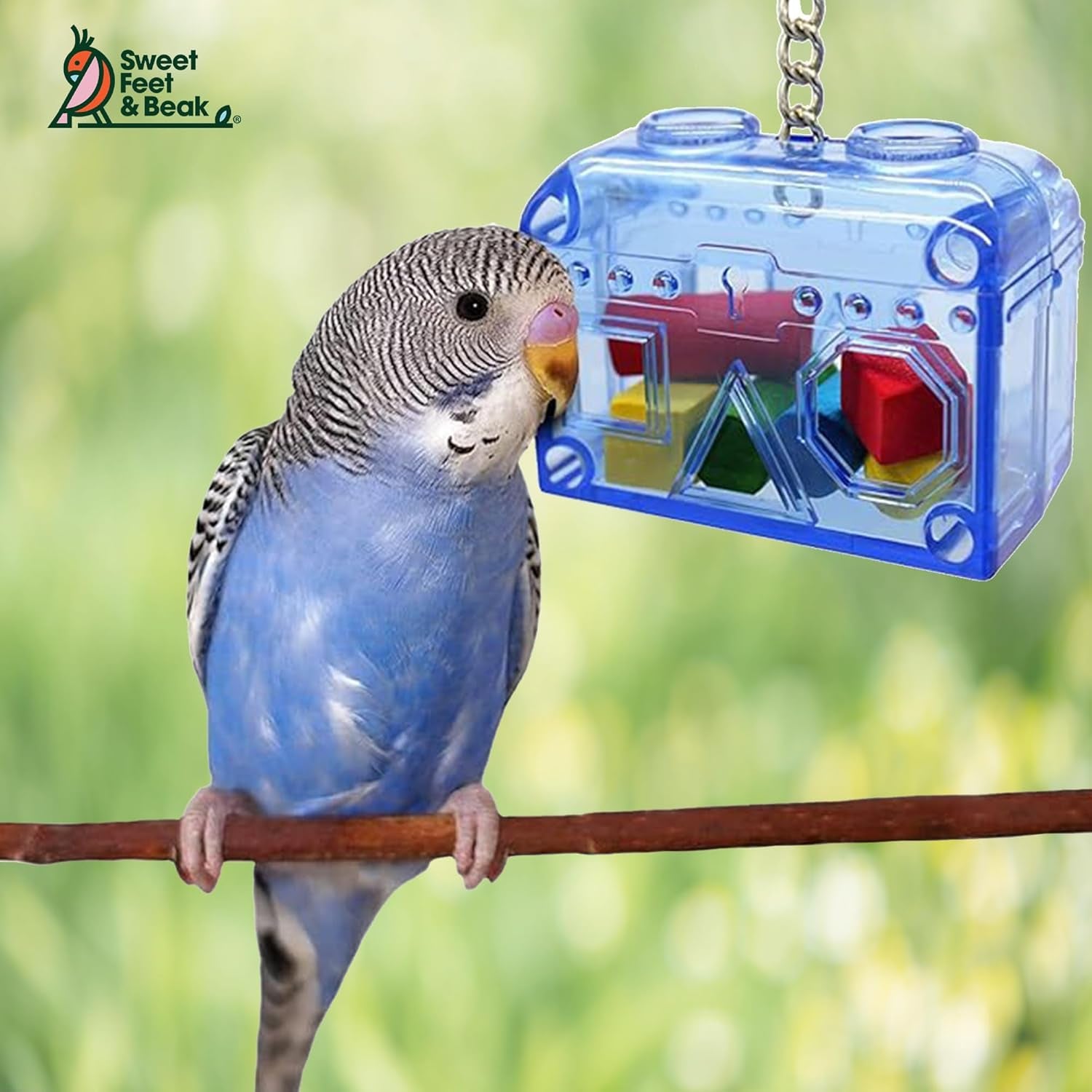 Small Treasure Chest - Washable, Refillable, Non-Toxic, Foraging Box - For Small to Medium Birds