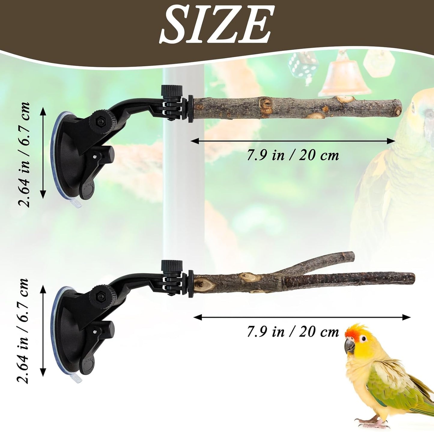 Adjustable Natural Wood Window Perch – Suction Cup Bird Perch for Windows, Showers & Travel