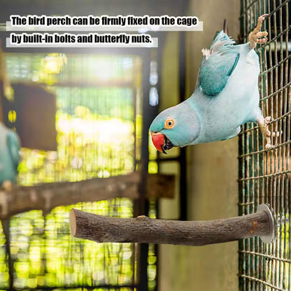 8-Pack Natural Wood Bird Perch - Perch Variety Pack. Includes Platform, Branched Perch, and Single Perch.