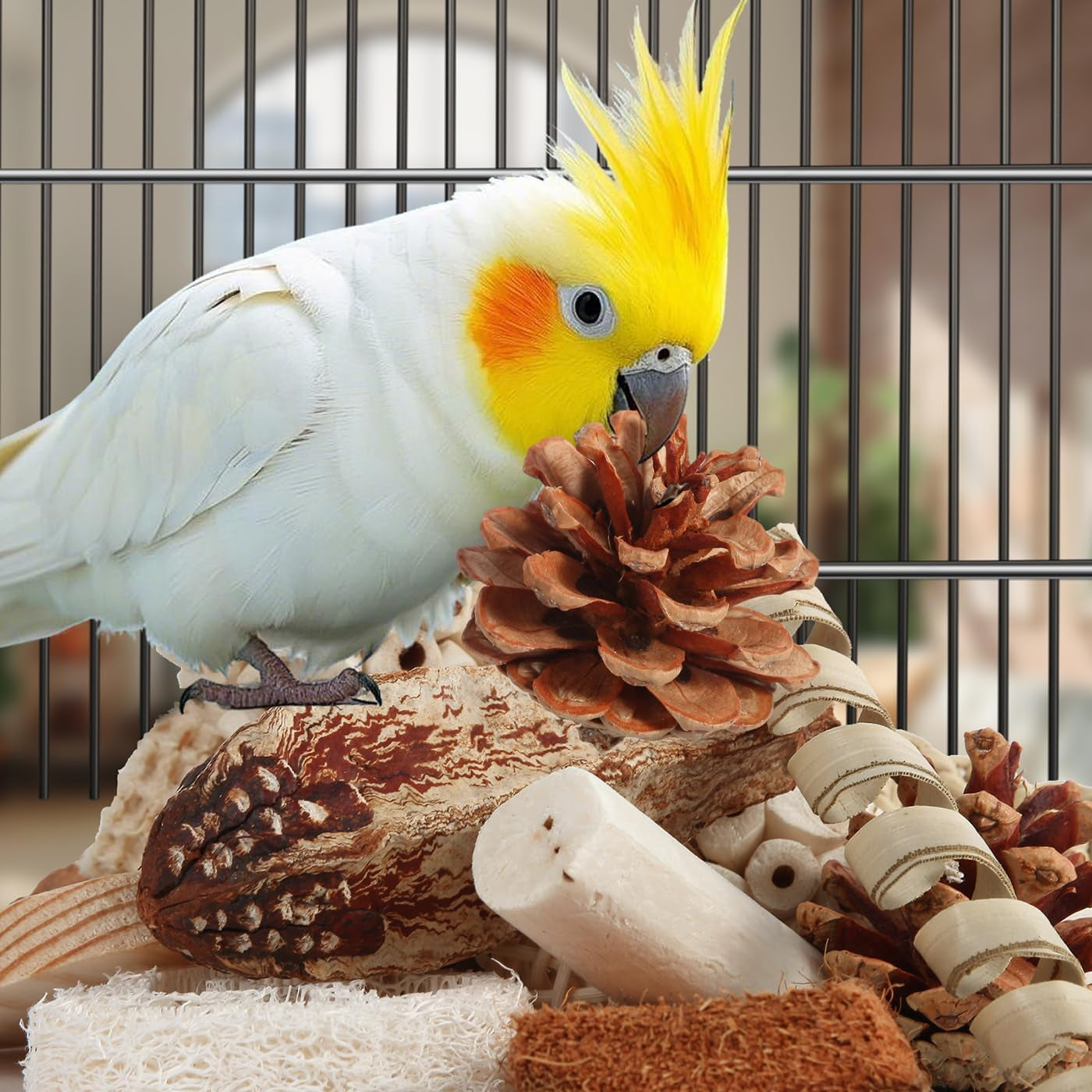 Natural Bird Foraging & Shredding Toy Box – Eco-Friendly DIY Enrichment Set with Pine Cones, Wood, Sola, Seagrass & Coconut for Parrots & Small Birds
