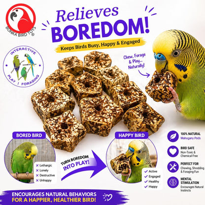 Natural Mahogany Bird Chew Pods – 12 Pack Wooden Foot Toys & DIY Bird Toy Making Parts for Parrots, Cockatiels & Conures