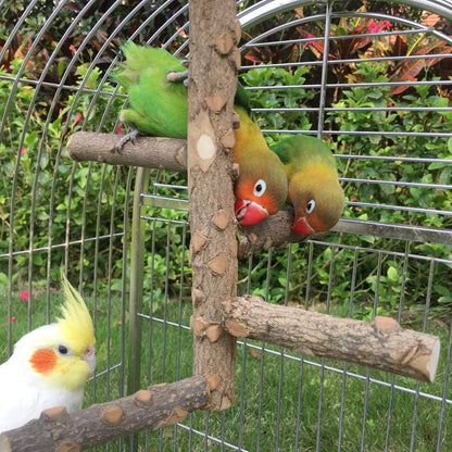 Bird Perch Hanging Ladder - Small to Medium Parrots