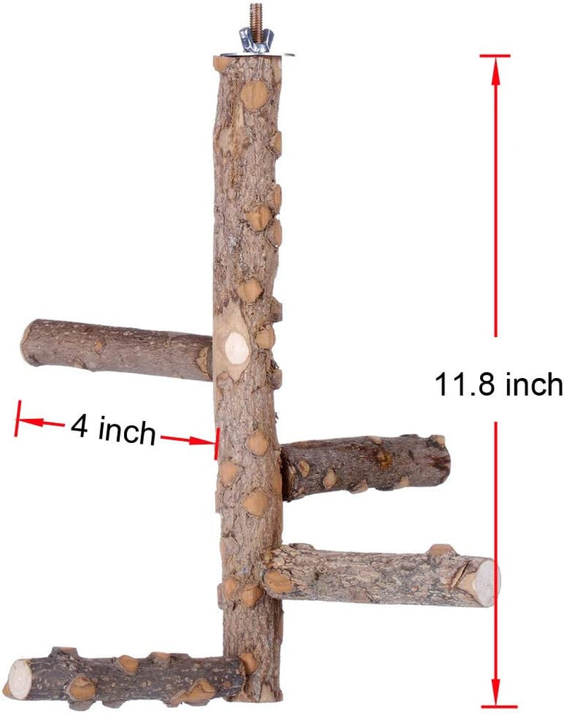 Bird Perch Hanging Ladder - Small to Medium Parrots