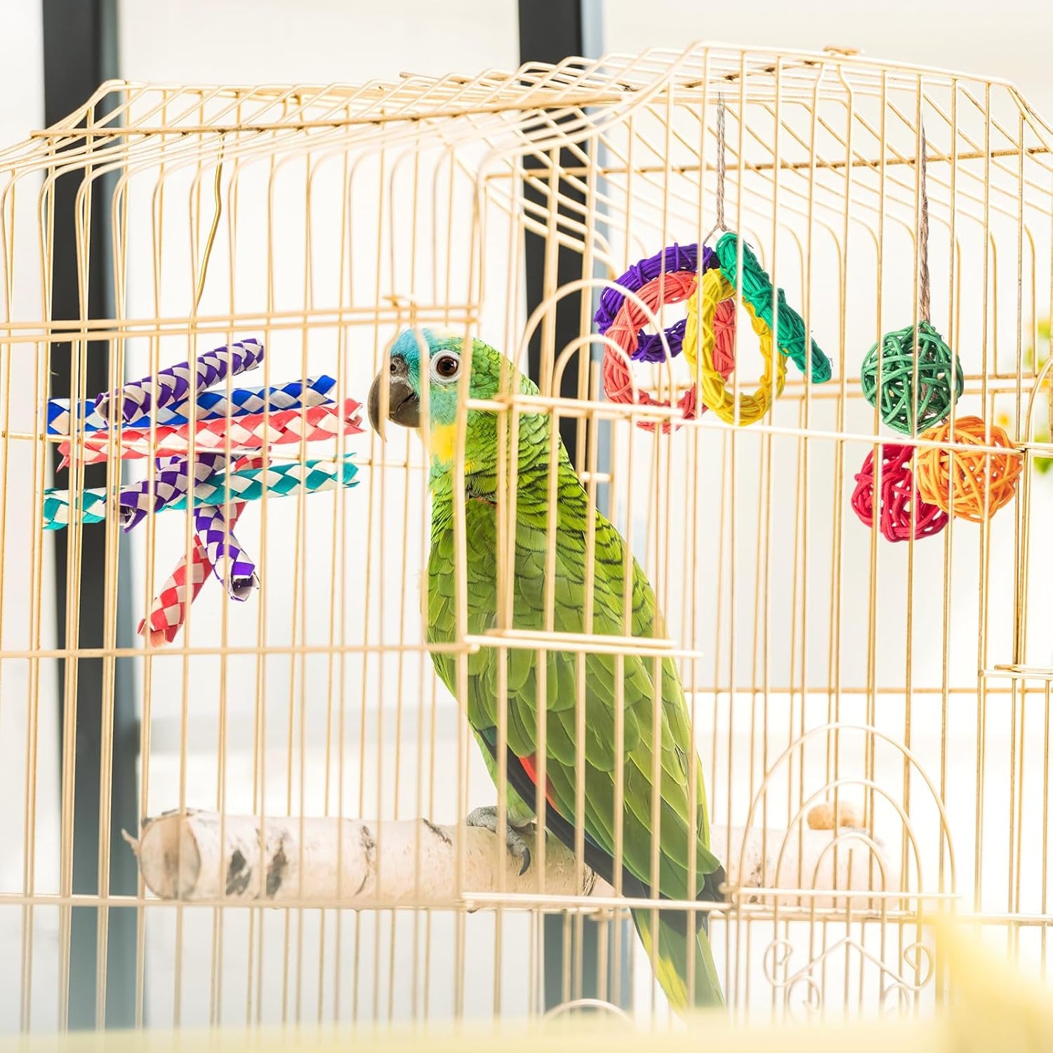 Bird Enrichment Toy Bundle – 200 PCS Natural Finger Traps, Rattan Balls & Vine Rings for Cage Play & Chewing