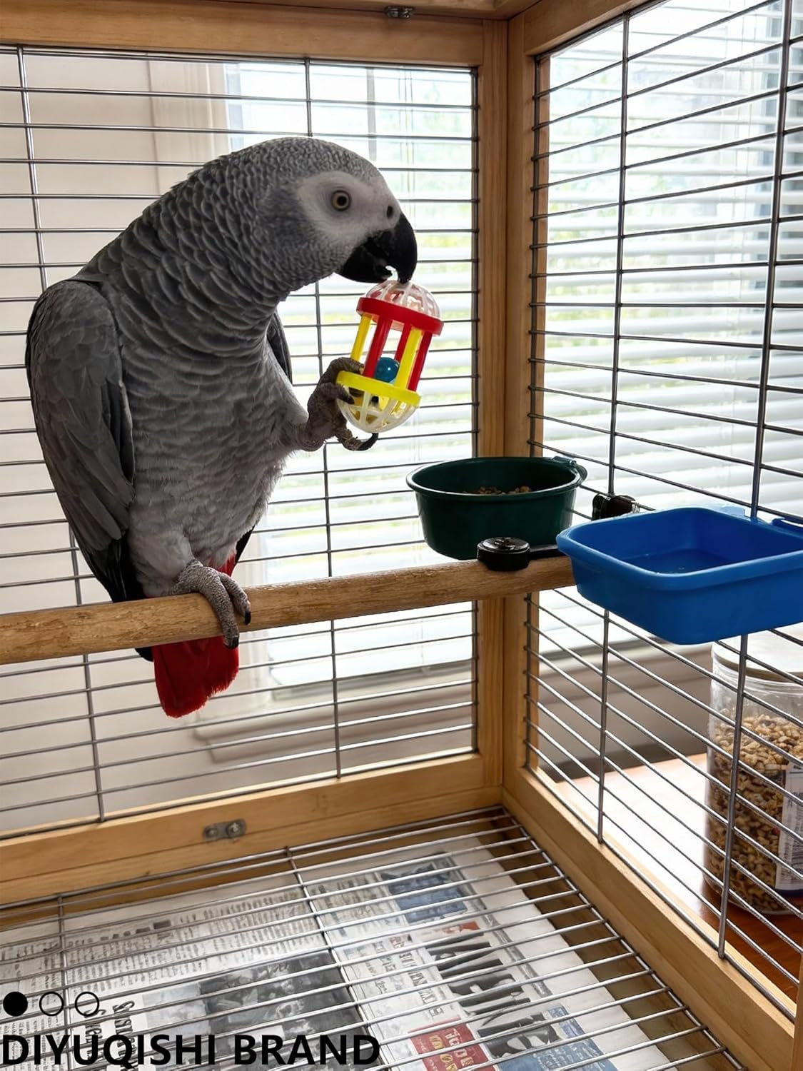 Interactive Rattan & Bell Bird Toy Set – Multi-Texture Play, Foraging & DIY Enrichment for Parrots