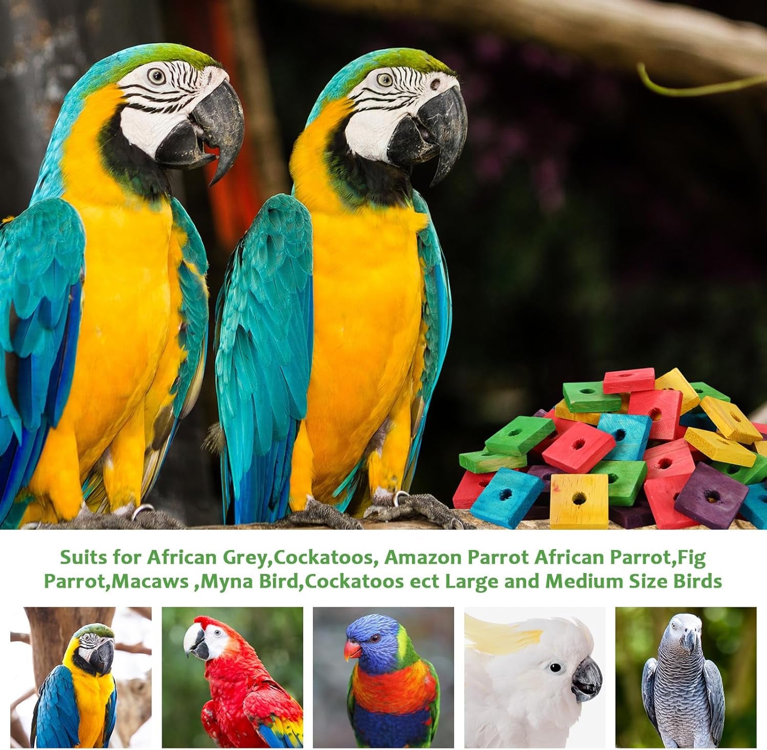 Colorful Wooden Bird Chew Blocks – 80 Pack Natural Foot Toys & DIY Bird Toy Making Parts for Parrots, Cockatiels & Small Birds