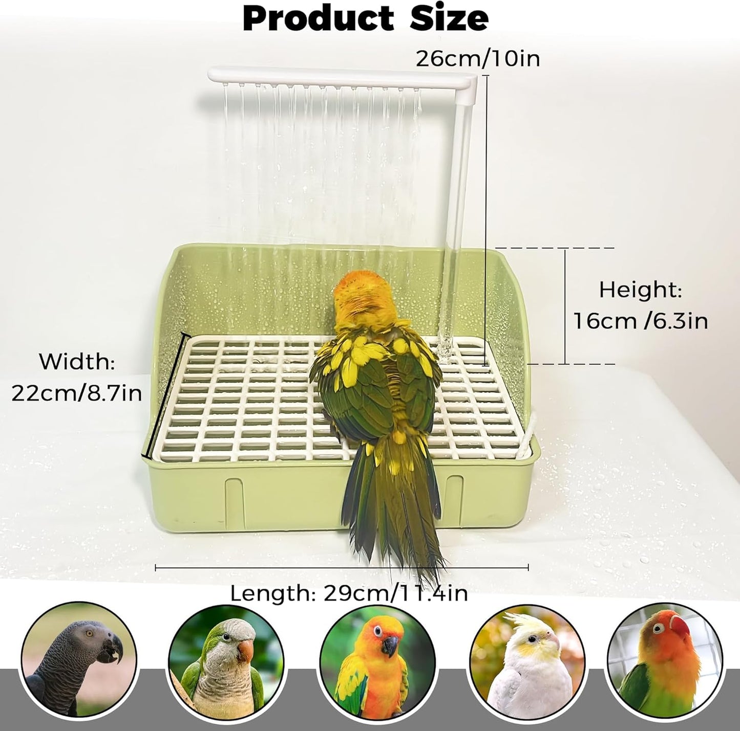 Automatic Bird Bath Fountain – Circulating Water Bath & Drinking Station for Parakeets, Cockatiels, Conures & Parrots