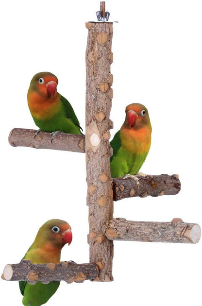 Bird Perch Hanging Ladder - Small to Medium Parrots