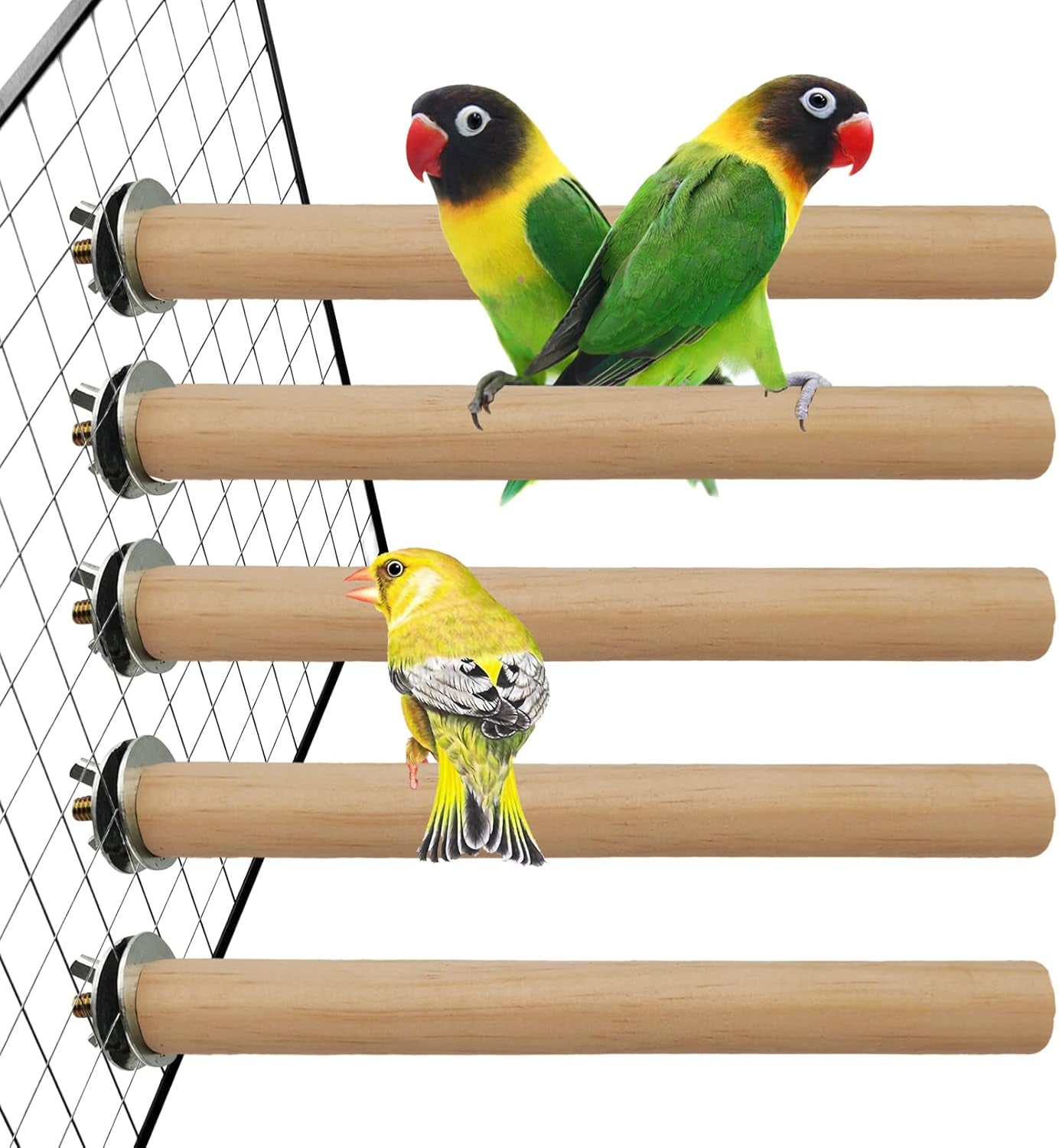 Natural Wood Bird Perch Set - 5 Piece Simple Dowel Perch for Small to Medium Birds,