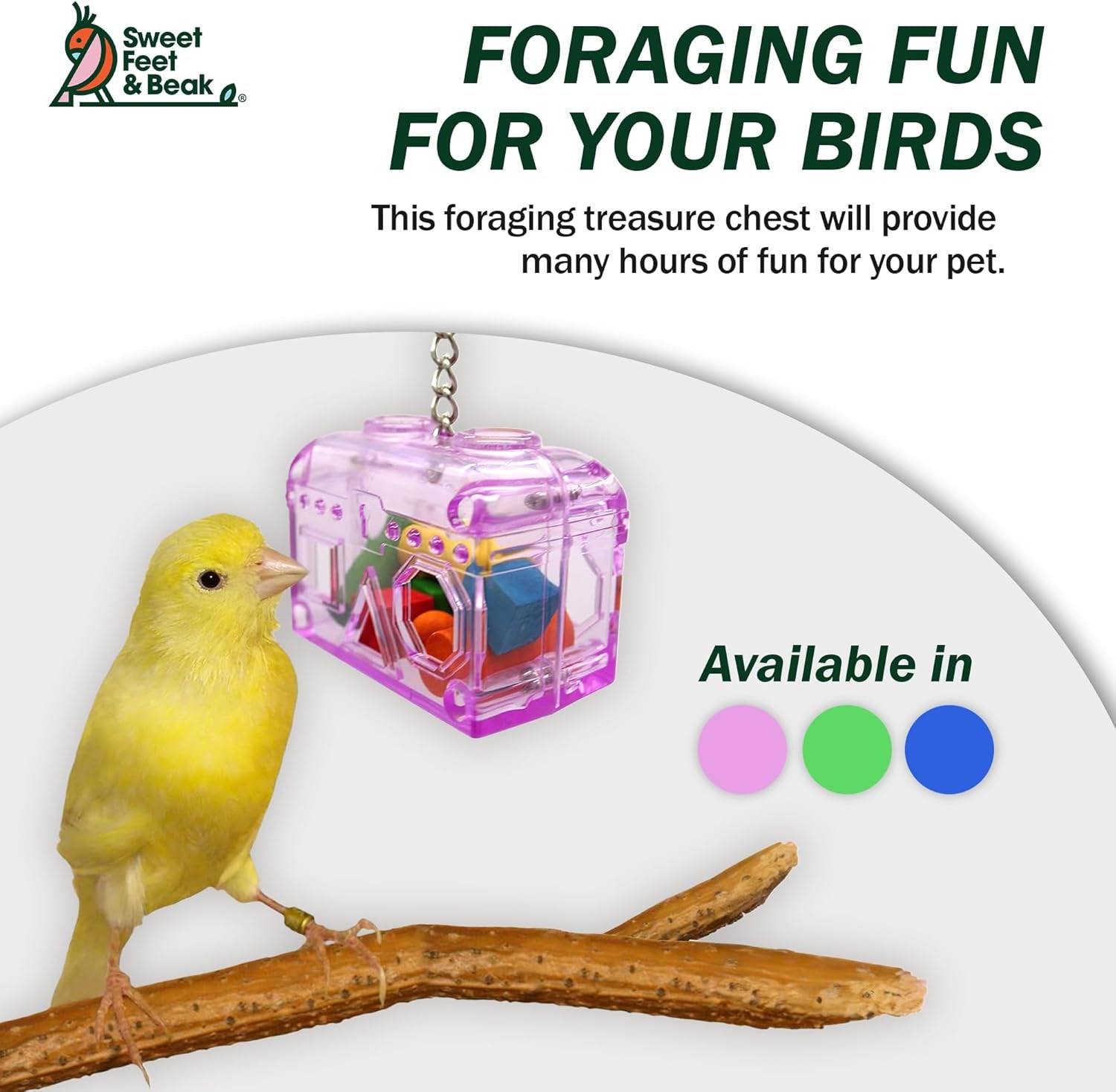 Small Treasure Chest - Washable, Refillable, Non-Toxic, Foraging Box - For Small to Medium Birds