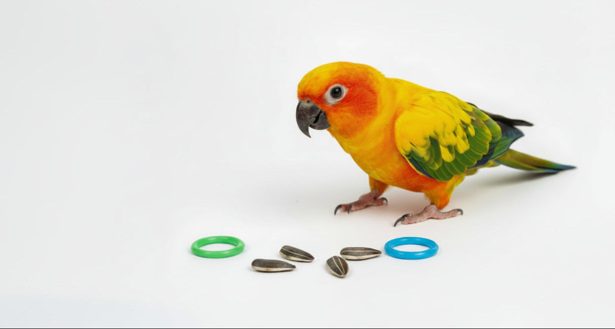 Home Page Banner Image