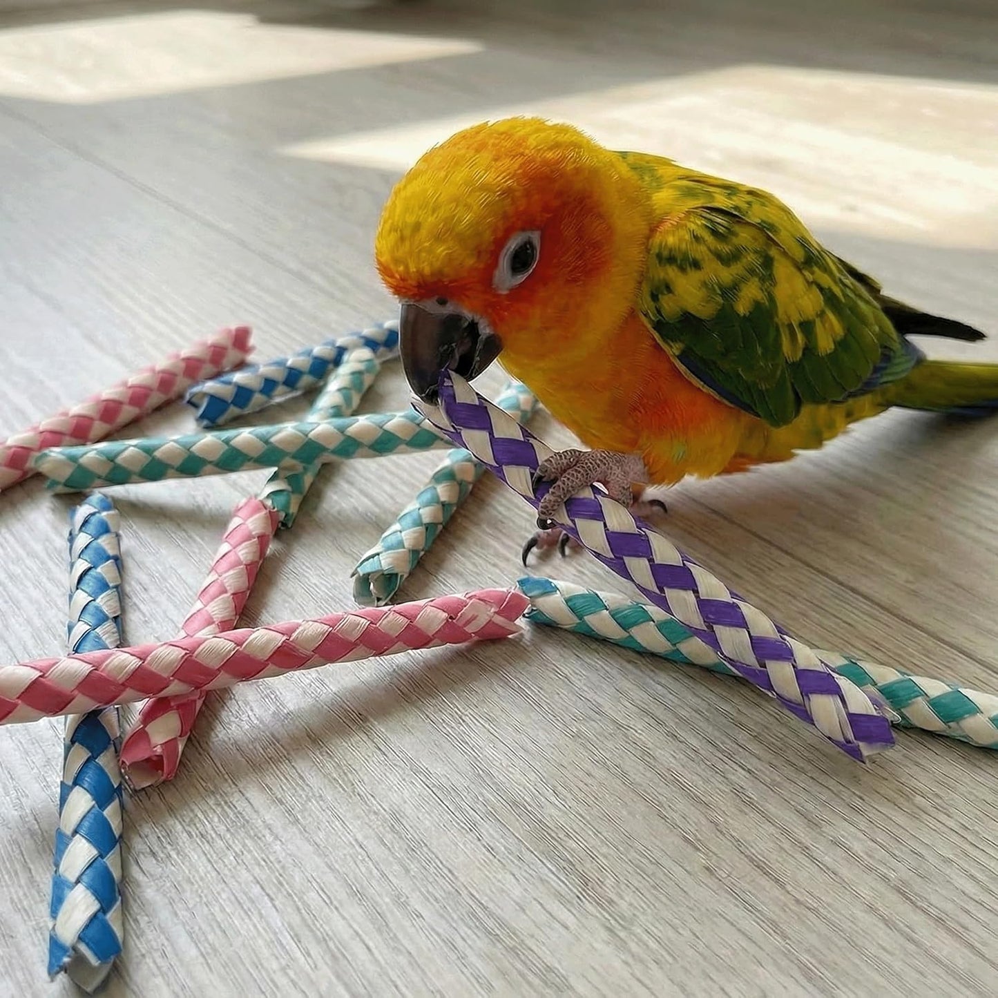 Bamboo Finger Trap Bird Toys (24 Pack) – Safe Chew & Foraging Foot Toys for Parrots, Budgies, Conures & DIY Bird Toy Parts