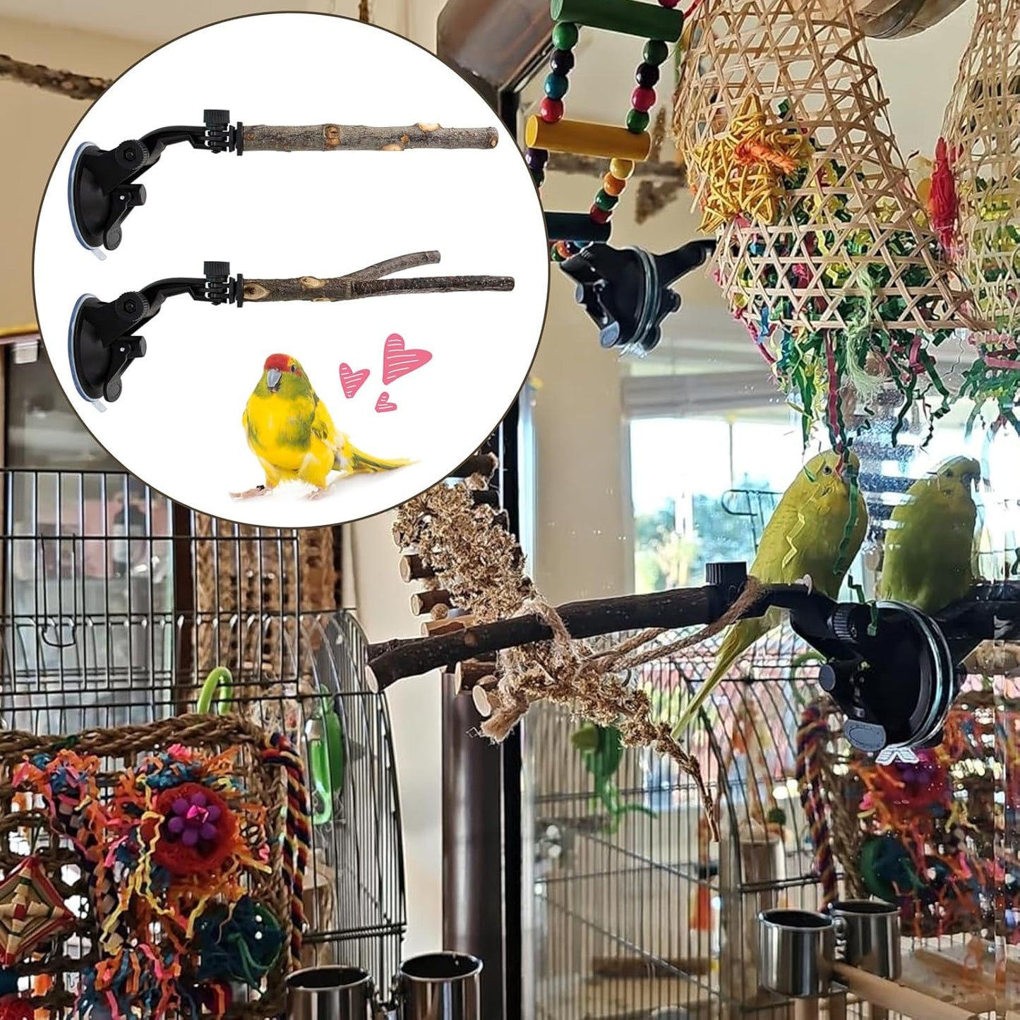 Adjustable Natural Wood Window Perch – Suction Cup Bird Perch for Windows, Showers & Travel