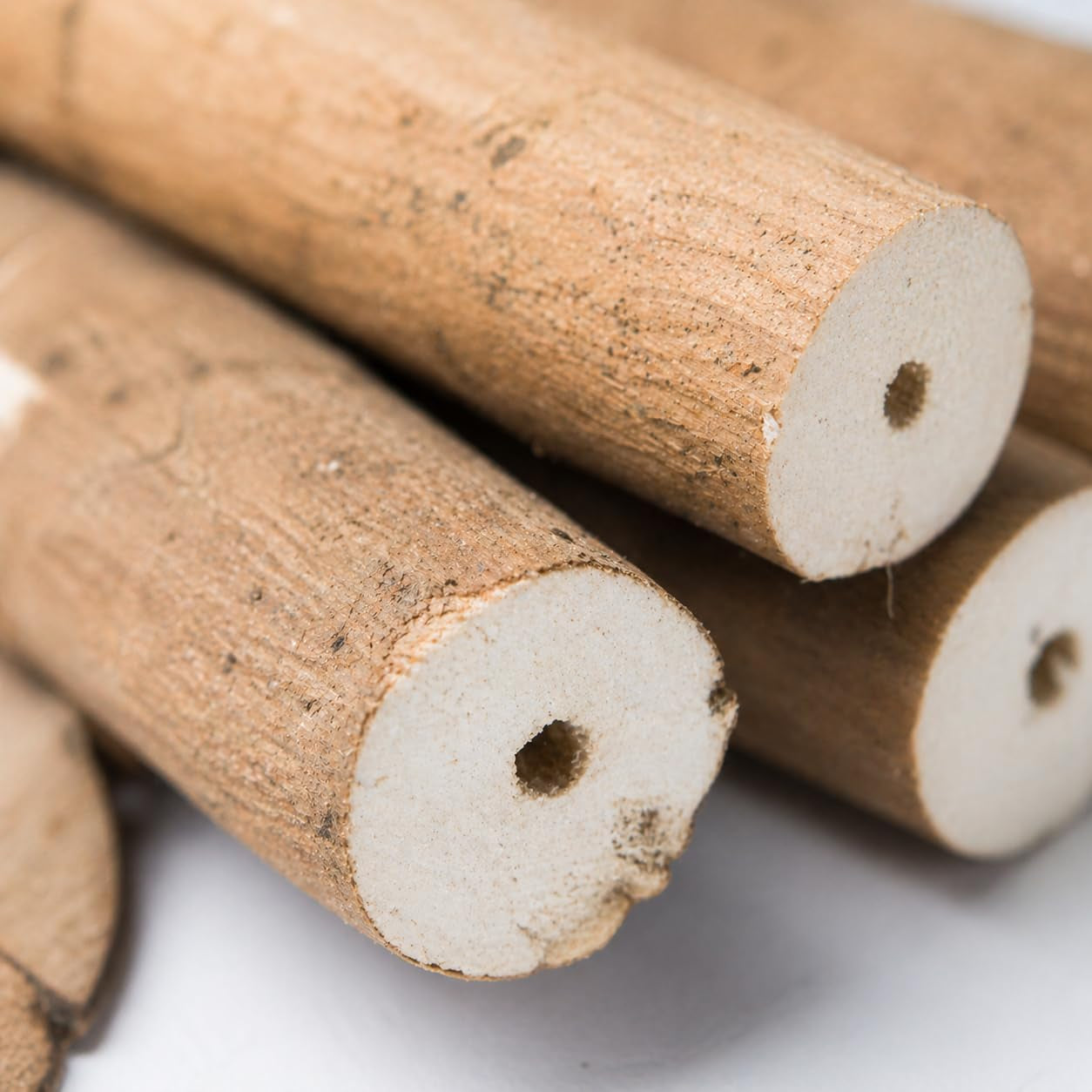 Natural Sola Bark Bird Chew Sticks – 6 Pack Soft Wood Foot Toys & DIY Bird Toy Making Material for Parrots, Cockatiels & Small Birds