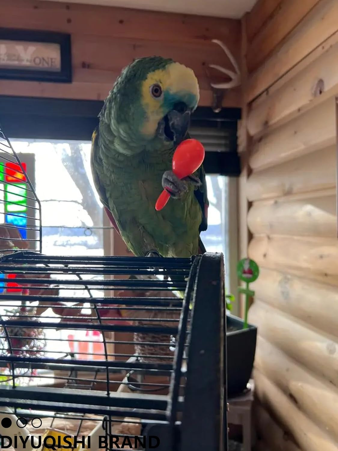 Interactive Rattan & Bell Bird Toy Set – Multi-Texture Play, Foraging & DIY Enrichment for Parrots