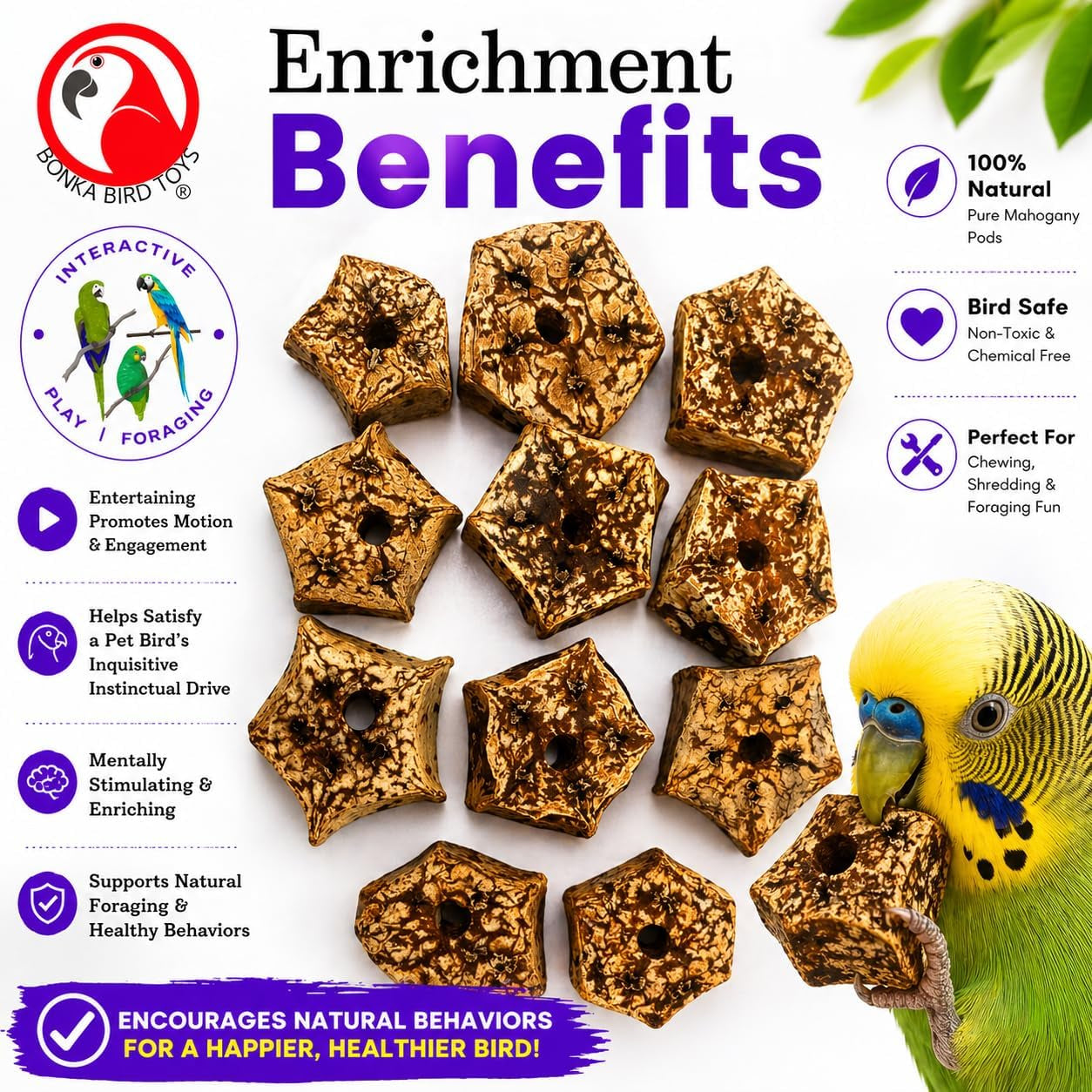 Natural Mahogany Bird Chew Pods – 12 Pack Wooden Foot Toys & DIY Bird Toy Making Parts for Parrots, Cockatiels & Conures